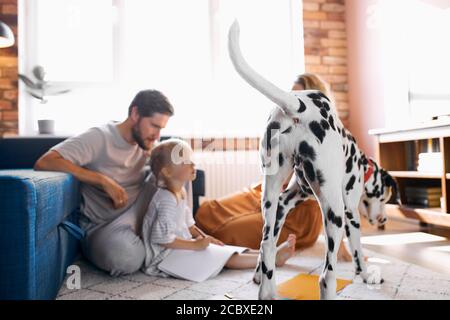 pastime at home of young family, playful dog near young man, woman and child girl drawing on the floor Stock Photo