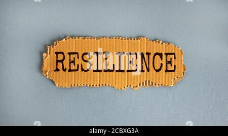 Words 'resilience' on the piece of cardboard on blue fon. Beautiful blue background, copy space. Business concept. Stock Photo