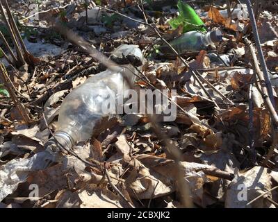 Plastic bottle in green grass on grass Stock Photo