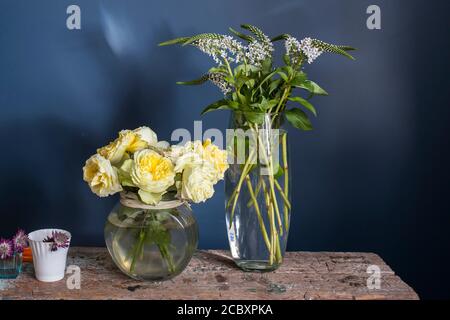 A bouquet of white veronica in a tall narrow vase and yellow rose in round vase, cup of coffee on a grey bench on the blue background. Stock Photo