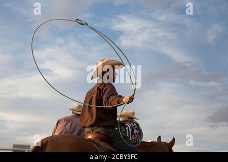 Team Roper Hayes Smith warms up before competing at the PRCA Rodeo at the Wyoming State Fair in Douglas on Thursday, August 13, 2020. The 108th annual fair opened this week with additional precautions to prevent the spread of the COVID-19 virus. Stock Photo