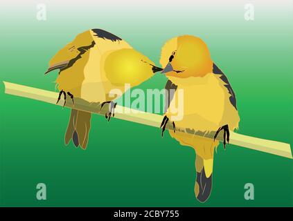 Cute little birds. Vector images. White background. Stock Vector