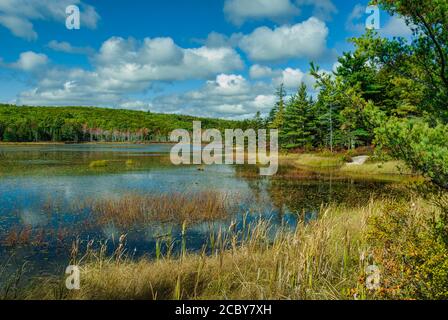 Aunt Betty Pond in Acadia National Park on Mount Desert Island in Maine; USA Stock Photo