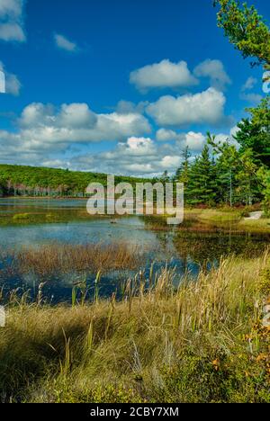 Aunt Betty Pond in Acadia National Park on Mount Desert Island in Maine; USA Stock Photo