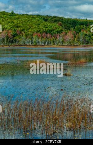 Aunt Betty Pond in Acadia National Park on Mount Desert Island in Maine; USA Stock Photo