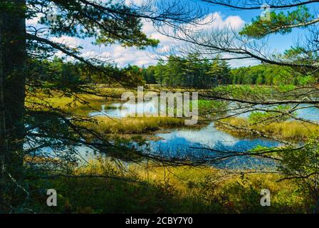 Aunt Betty Pond in Acadia National Park on Mount Desert Island in Maine; USA Stock Photo