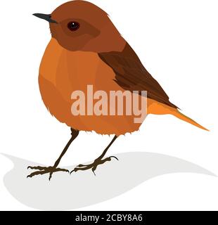 Cute little birds. Vector images. White background. Stock Vector