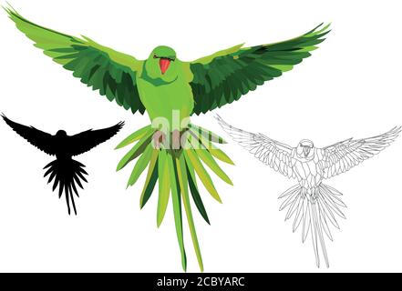 Green parrot. Vector images. White background. Stock Vector