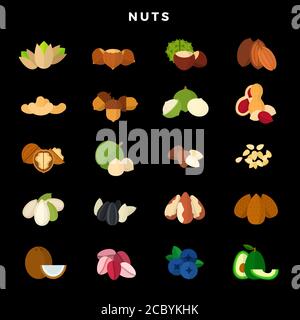 Nuts of all kinds. Set of various nuts, grains and seeds. Vector illustration on dark background Stock Vector