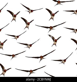 Birds. Vector image. White background. Seamless pattern. Stock Vector
