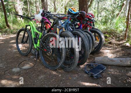 Family's mountainbikes parked at Windin Falls, Wooroonooran National Park, Queensland, Australia. No PR Stock Photo