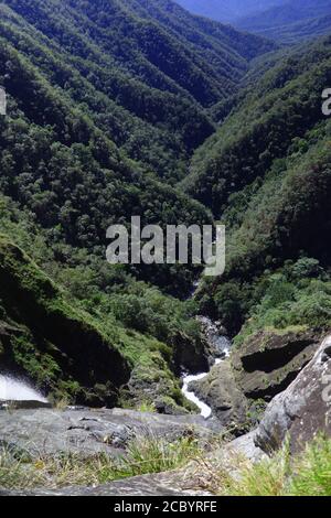 View into valley below Windin Falls, Wooroonooran national Park, queensland, Australia Stock Photo