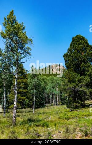 Aspen, Meadow and Rock Formation in Staunton State Park Stock Photo