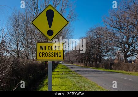 New Zealand Countryside Scenes: Danger and Warning signs e.g. on ...