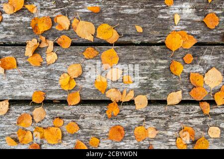 Autumn yellow leaves on wooden background Stock Photo