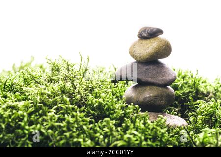 Stack of zen stones in green moss on white background. Natural backdrop for your design. Stock Photo