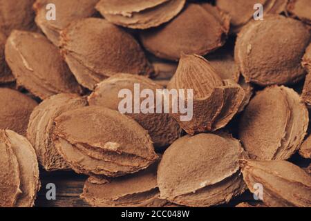 apricot pits and kernels on a rustic wooden scratched board .  Healthy food background. Close up Stock Photo