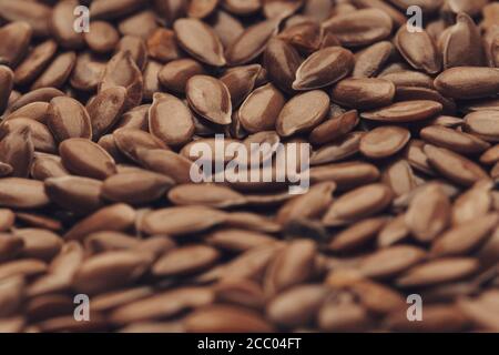 Linum usitatissimum is scientific name of Brown Flax seed. Background texture Stock Photo