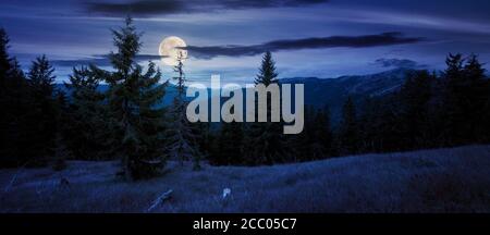 spruce forest on the hillside meadow at night. colorful grass in autumn. hills rolling in to the distance in full moon light. cloudy day Stock Photo