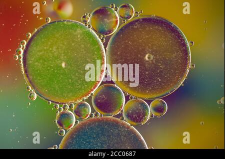multi-colored drops of oil close-up on a colored background for the background Stock Photo