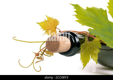 Bottle of wine corc cap grape leaves branch white background Stock Photo