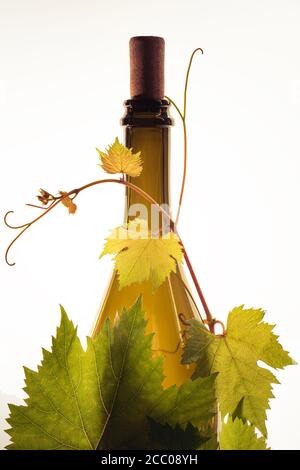 Bottle of wine corc cap grape leaves branch light background Stock Photo