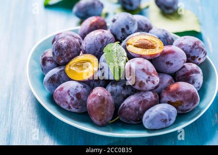 Freshly picked ripe plums (Zwetschgen) fruits in bowl on cyan background. Prepared for baking a cake or making marmalade. Stock Photo
