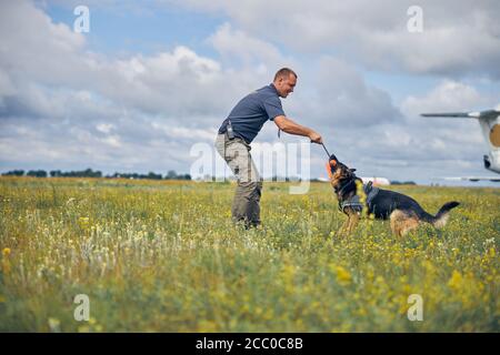 Male officer training detection dog in grassy field Stock Photo