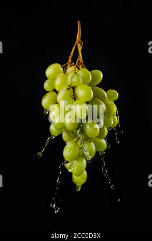 Fresh grape with water or juice splashes, isolated on a black background. Fruit levitation, flying food Stock Photo