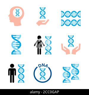 Human DNA, genetics vector icons set - health and science concept design Stock Vector
