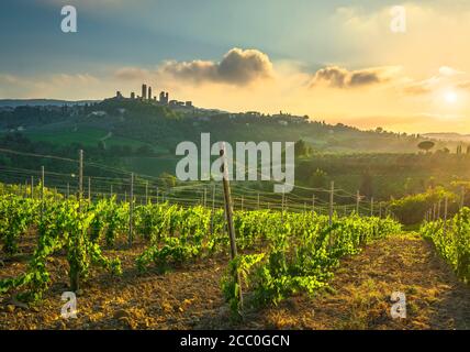 San Gimignano medieval town towers skyline and vineyards countryside landscape panorama on sunrise. Tuscany, Italy, Europe. Stock Photo