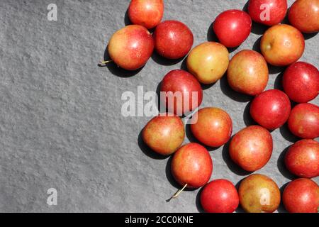 Plum fruits isolated on black background Stock Photo