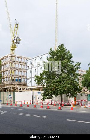 Construction work under way at the site of the former American embassy in Grosvenor Square, Mayfair, London, England, UK Stock Photo