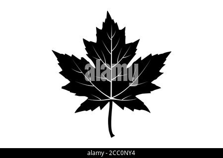 maple leaf. vector icon on white Stock Vector