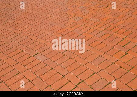 Red brick paving stones on a sidewalk / pavement Stock Photo