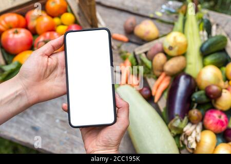 Online ordering of organic farm vegetables and fruits. Mobile phone white screen on food background. Stock Photo