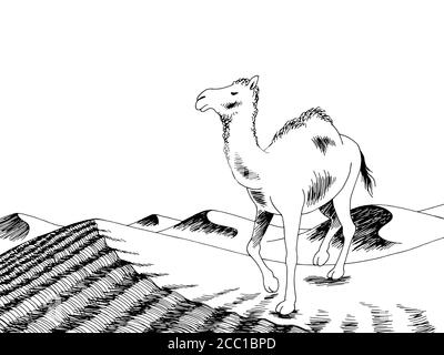 Camel desert graphic black white landscape sketch illustration vector Stock Vector