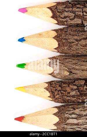 Five bark wooden pencil isplated on white background , isolated, vertical composition Stock Photo