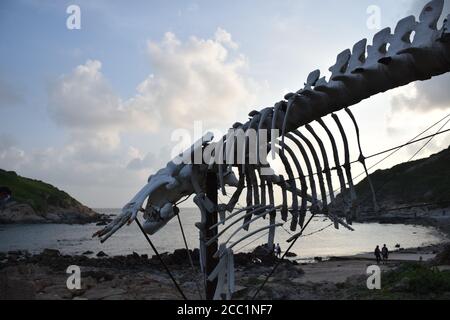 Whale skeleton at Cape D'Aguilar natural Marine Reserve in Hong Kong - China Stock Photo