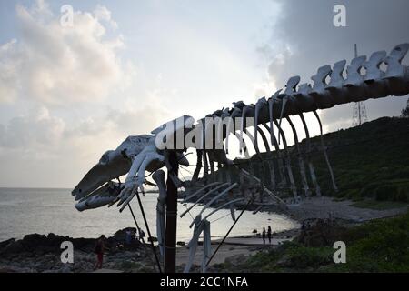 Whale skeleton at Cape D'Aguilar natural Marine Reserve in Hong Kong - China Stock Photo