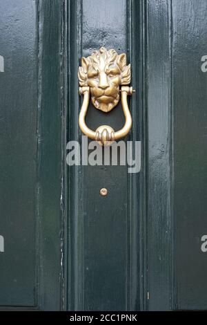 Ornate brass door knocker in the shape of a Lions face on a green door Stock Photo