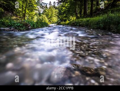 Stream Between Two Rocks Stream flowing smoothly between rocks and green leaves in the forest ...