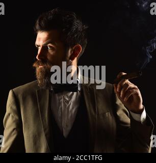 Businessman with curious face smokes cuban cigar. Guy in classic suit has five minute break for smoke. Man with beard holds cigar on black background. Business and bad habit concept. Stock Photo