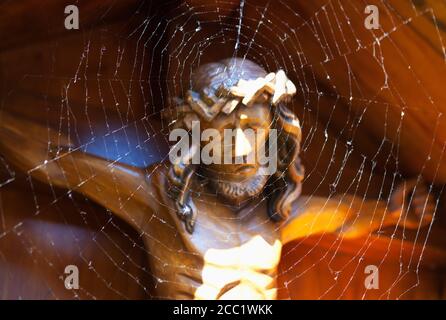 Peru, Chiclayo, Witchcraft, Shaman market. Spider monkey Stock Photo - Alamy