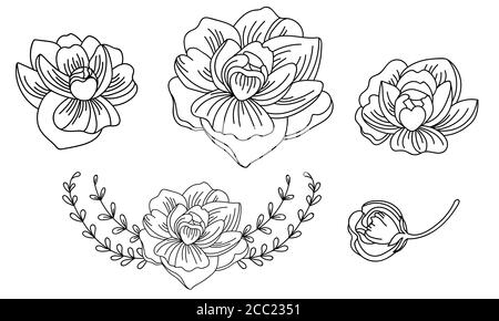 Floral botanical set with hand drawn line art peonies flowers. Vector monochrome floral template illustration for wedding invitation,vegan cafe, flowe Stock Vector