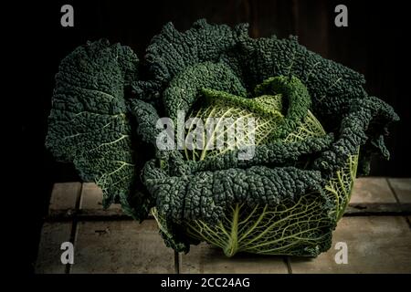 Savoy cabbage against black background Stock Photo