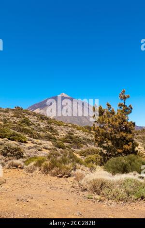 Spain, View of Teide National Park Stock Photo