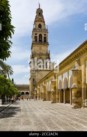 Spain, Andalusia, Cordoba, View on Patio of Mezquita with church tower Stock Photo