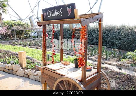 A market display cart selling chillies at the Eden Project in Cornwall, England. Stock Photo