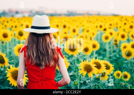 red dress in sunflower field Young Woman In A Field Of Sunflowers In A Red Dress Woman Holding Hat In Sunflower Field Stock Photo - Download Image Now